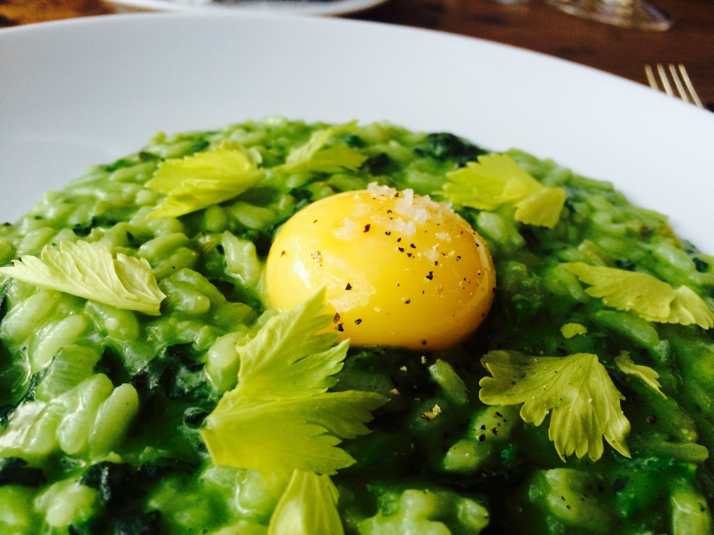Spring nettle risotto 2016
